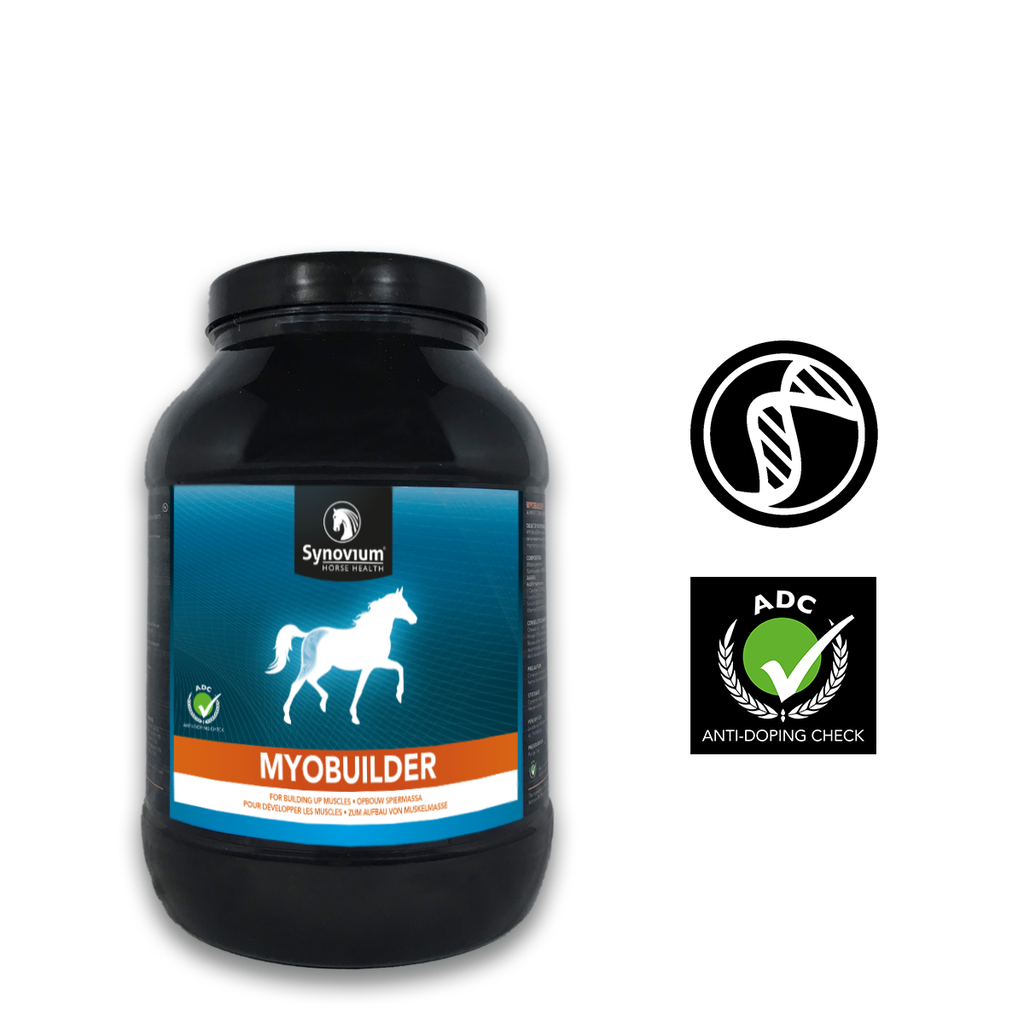 [SYN301.1KG] Synovium® Myobuilder
