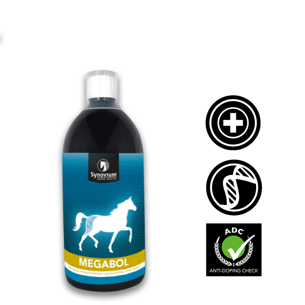 [SYN316.960ML] Synovium® Megabol 960 ml