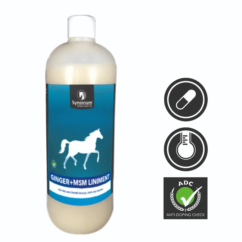 [SYN321.1000ML] Synovium®Ginger MSM linement (1 Liter)