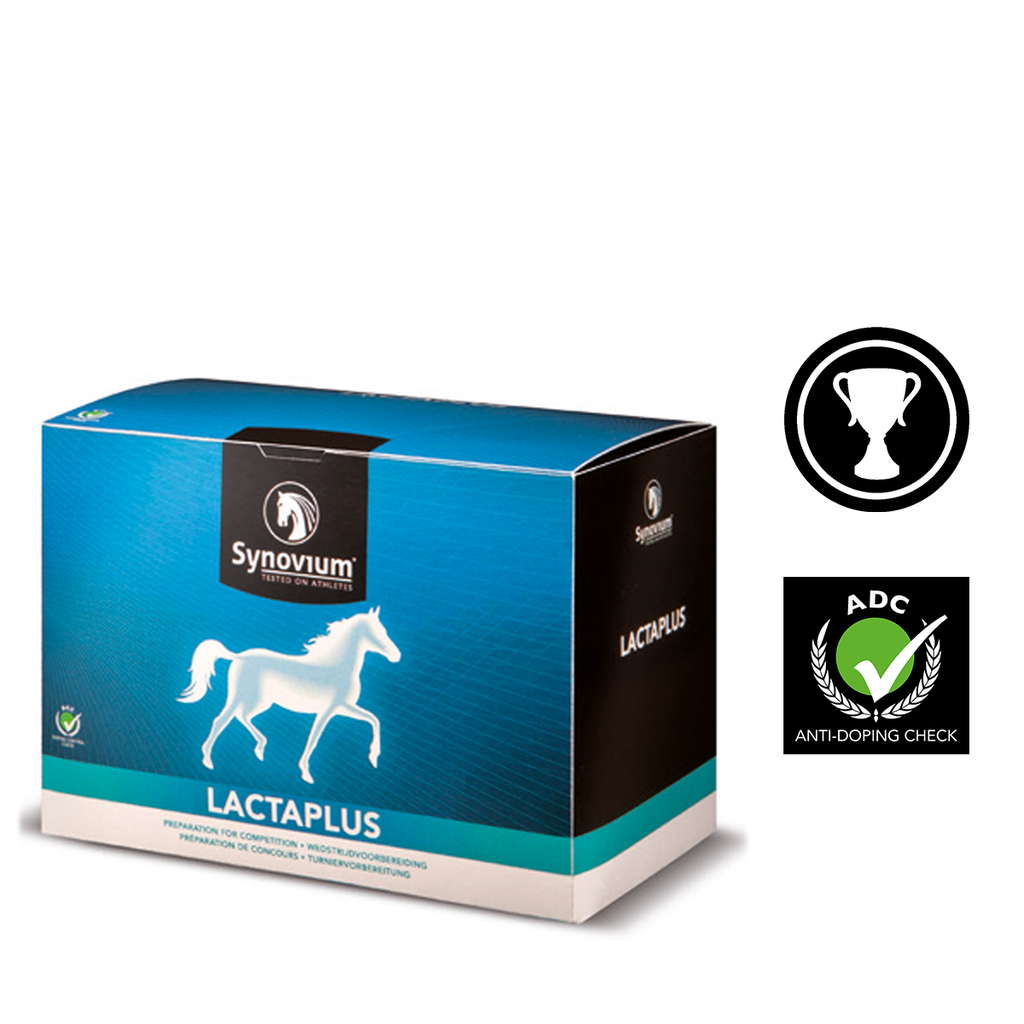 Synovium Lactaplus 6 x 40 g