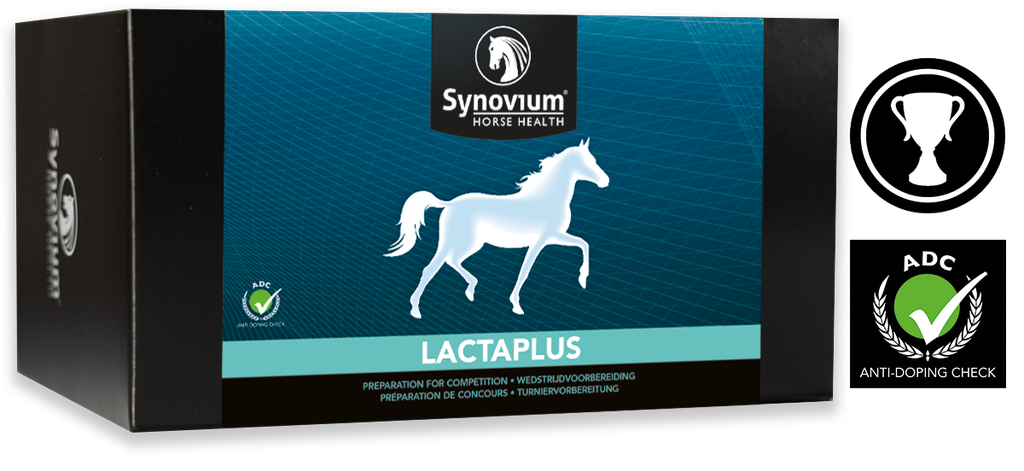 Synovium® Lactaplus 6 x 40 g