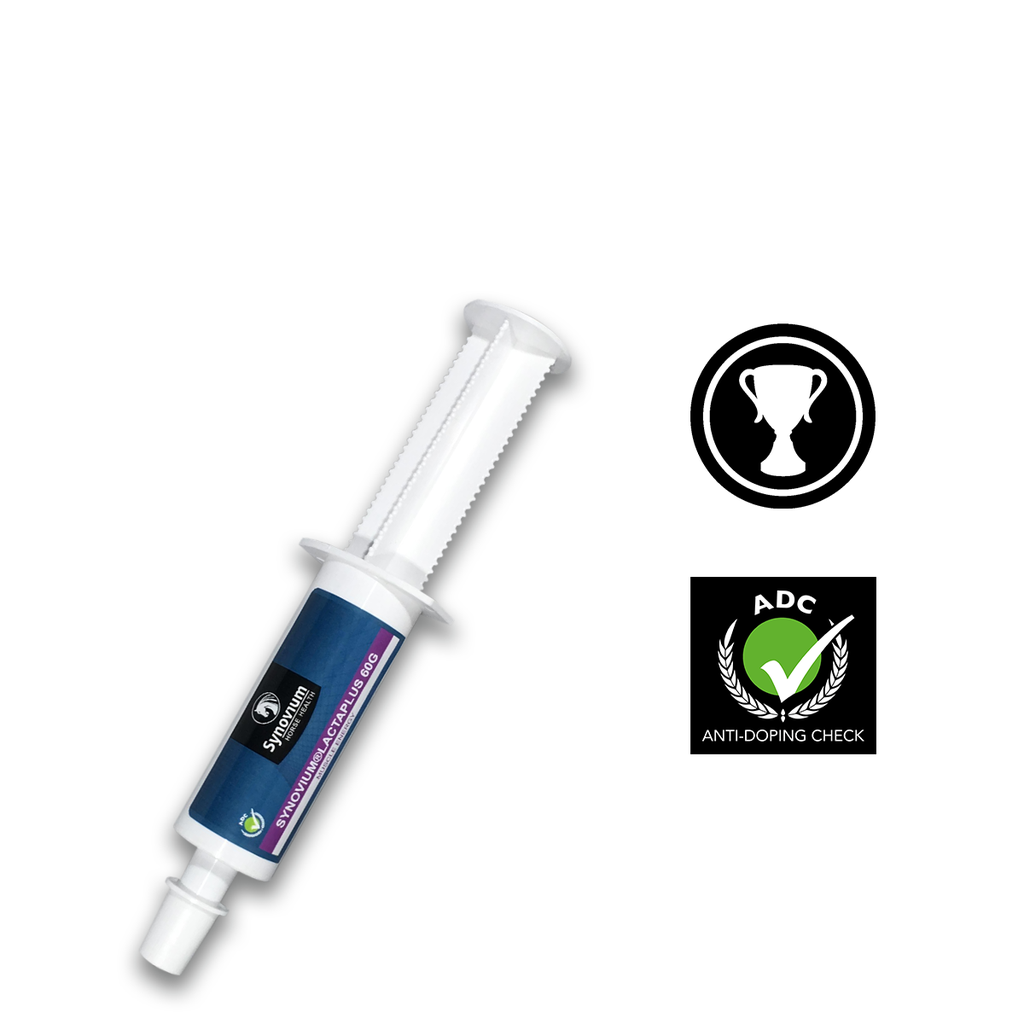 Synovium® Lactaplus paste 