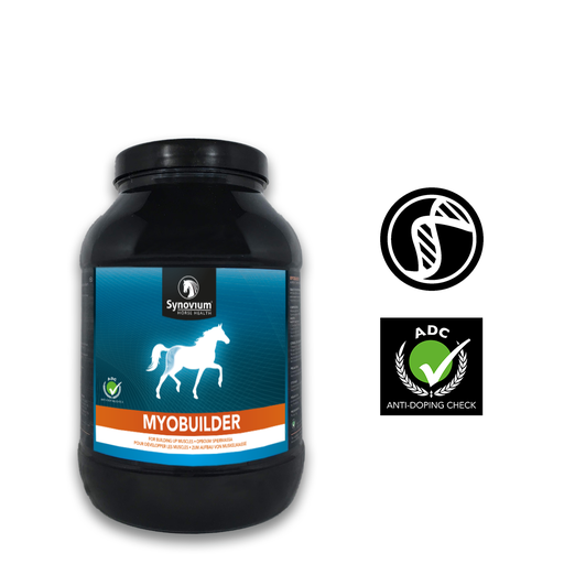 [SYN301.1KG] Synovium® Myobuilder