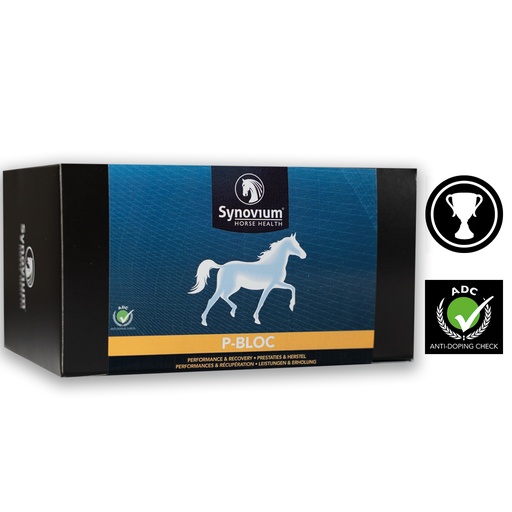 [SYN334] Synovium® P-Bloc 6 x 38 g